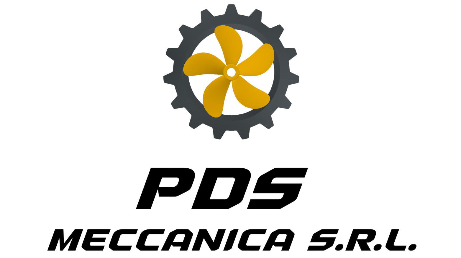 Pds meccanica